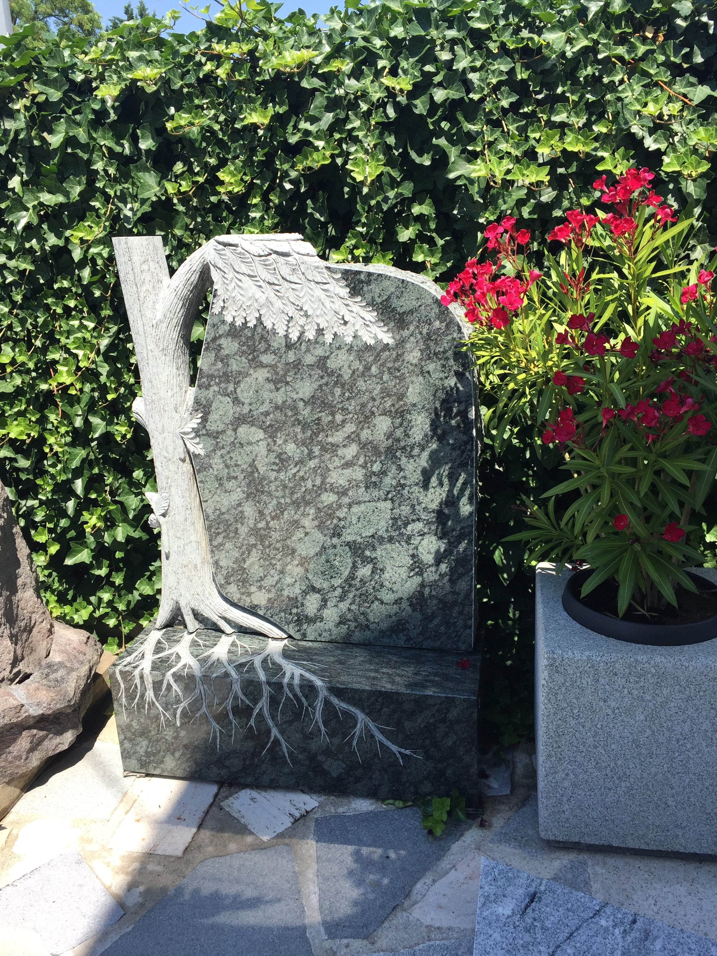 Großer grüngrauer Granit-Grabstein mit kunstvoll gearbeitetem Engelsflügel und freigelegtem Wurzelwerk im Sockel, eingebettet in dichten Efeu und Oleander